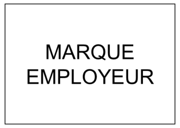 Projet Marque Employeur Vincent CAROL