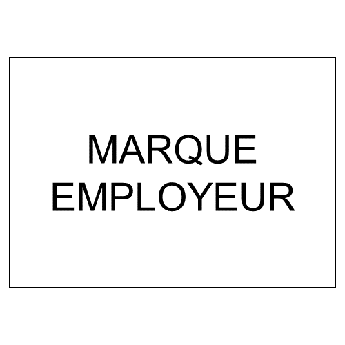 Projet Marque Employeur Vincent CAROL